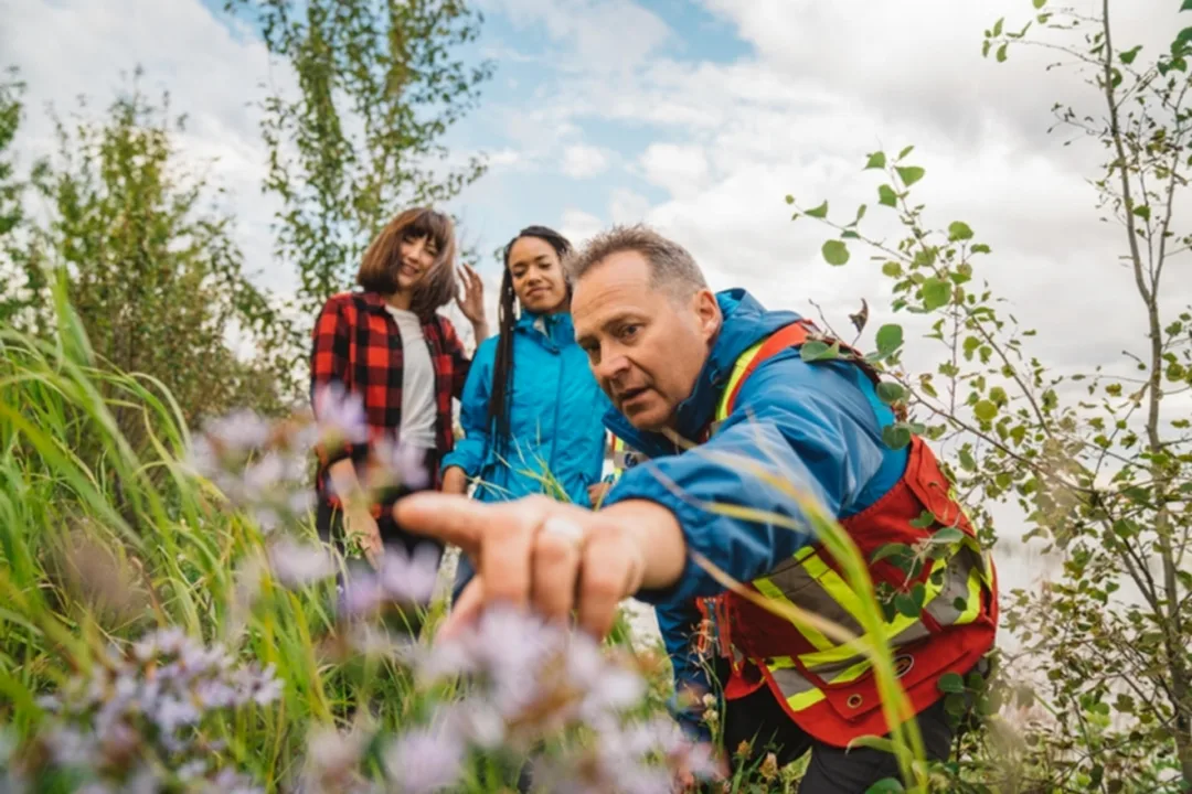A guide pointing out wildflowers to two travellers