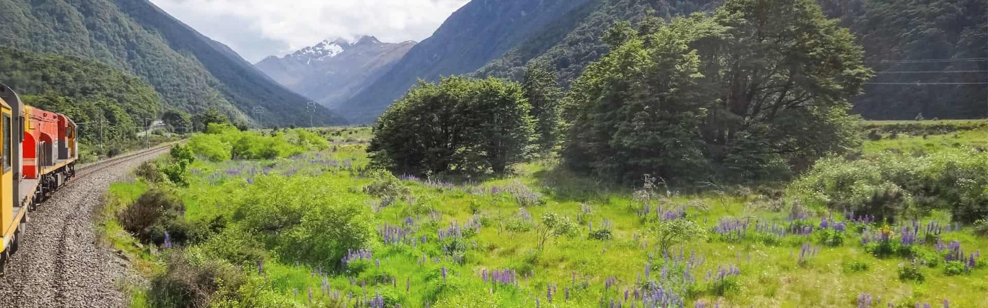 10 Day Ultimate South Island