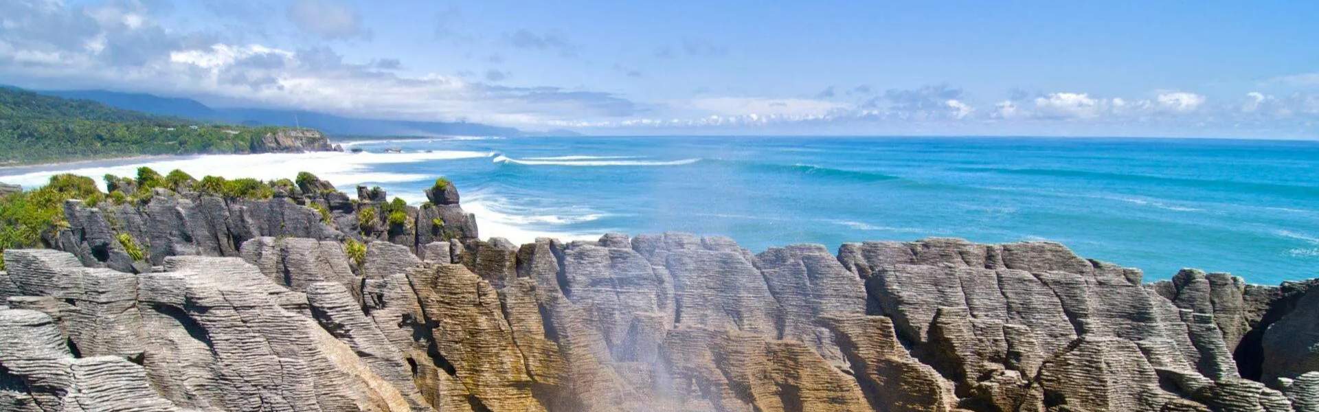 Kauri Tour - North and South Islands