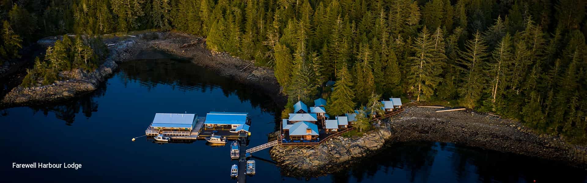 4 Day Wildlife Experience at Farewell Harbour Lodge