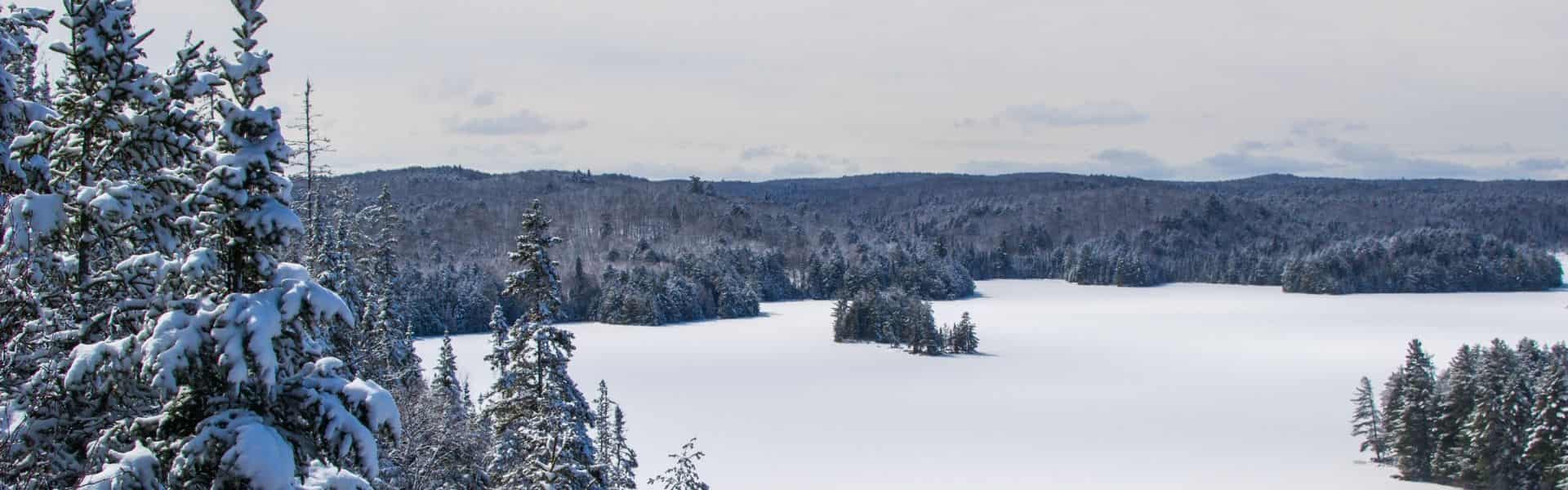 Algonquin Winter Wilderness Escape: Discover the Frosted Wilds
