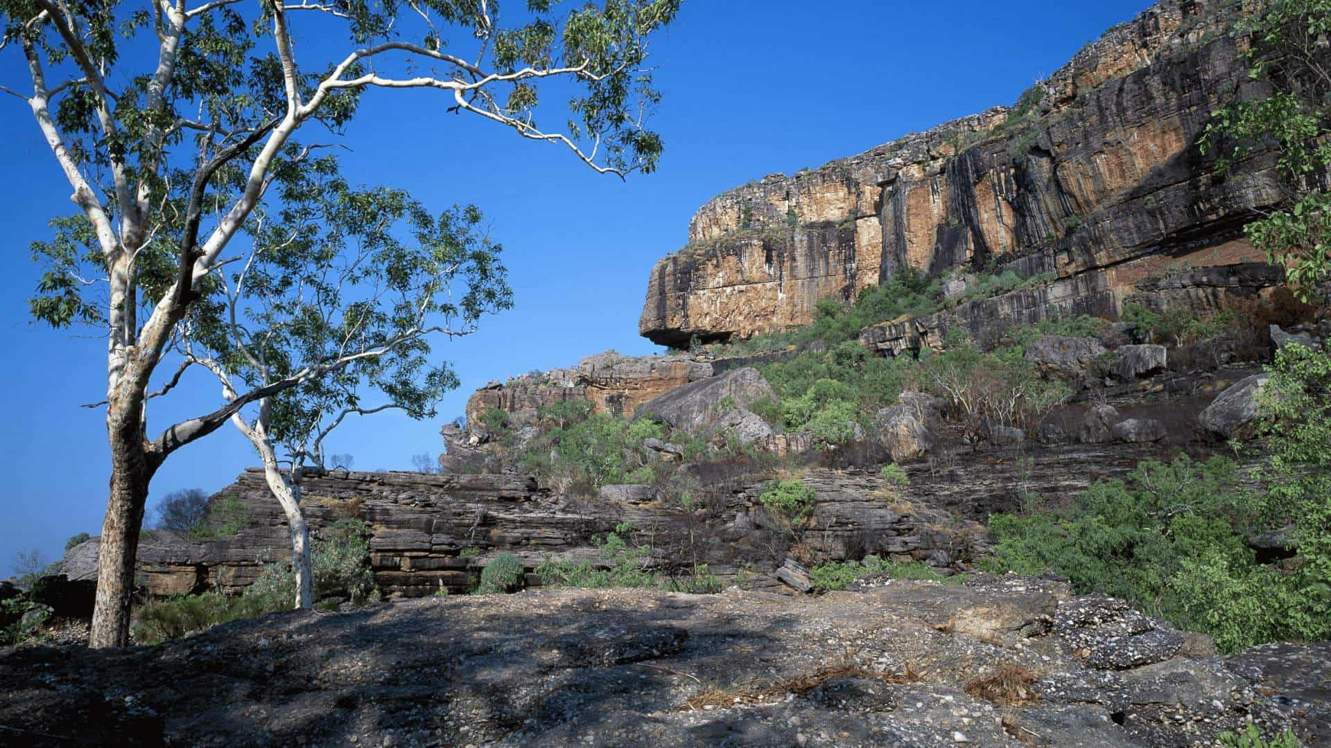 Kakadu and East Alligator River