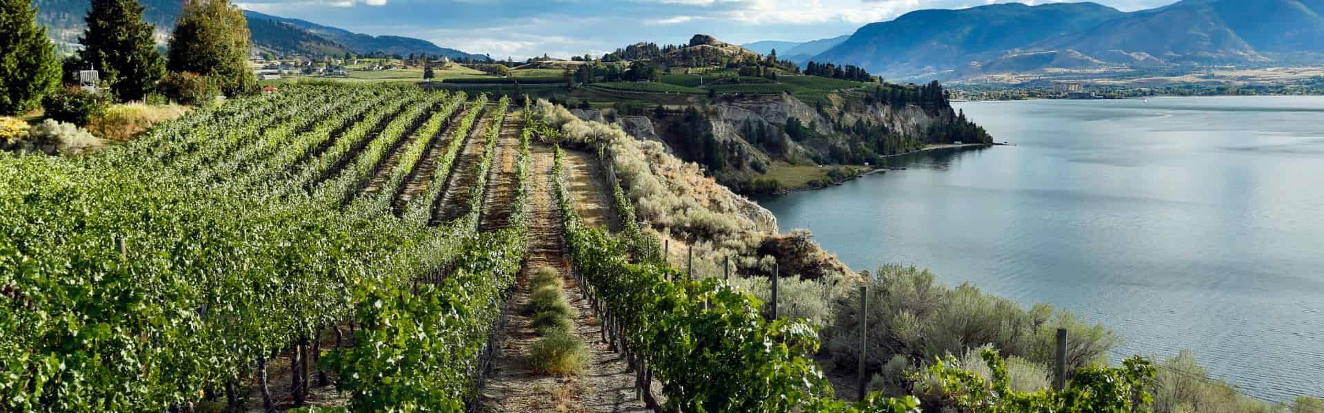 5 Day Okanagan Wine Trail